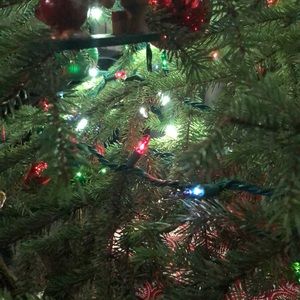 Meet your Posher, Cassie